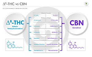 Ã¢Ëâ 8-THC vs CBN, Delta 8 Tetrahydrocannabinol vs Cannabinol horizontal business infographic photo